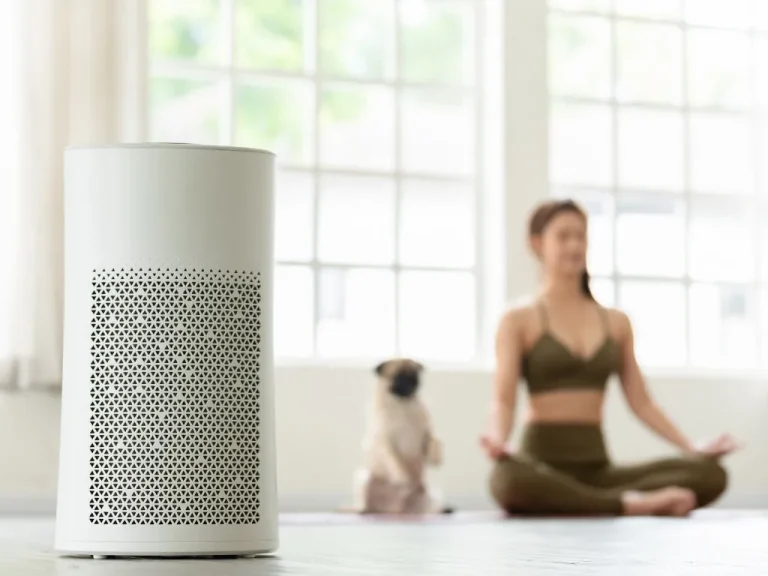 10 Best Air Purifiers In Australia 2025: Clean Air For A Healthy Lifestyle